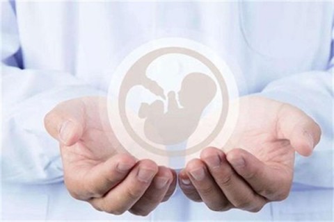 http://qingdao.hy-ly.com/post/203.html|青岛试管助孕