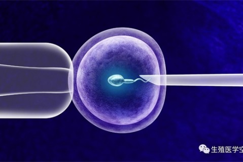 女人青岛代生孩子的最佳年龄段 一辈子生几个孩子最好